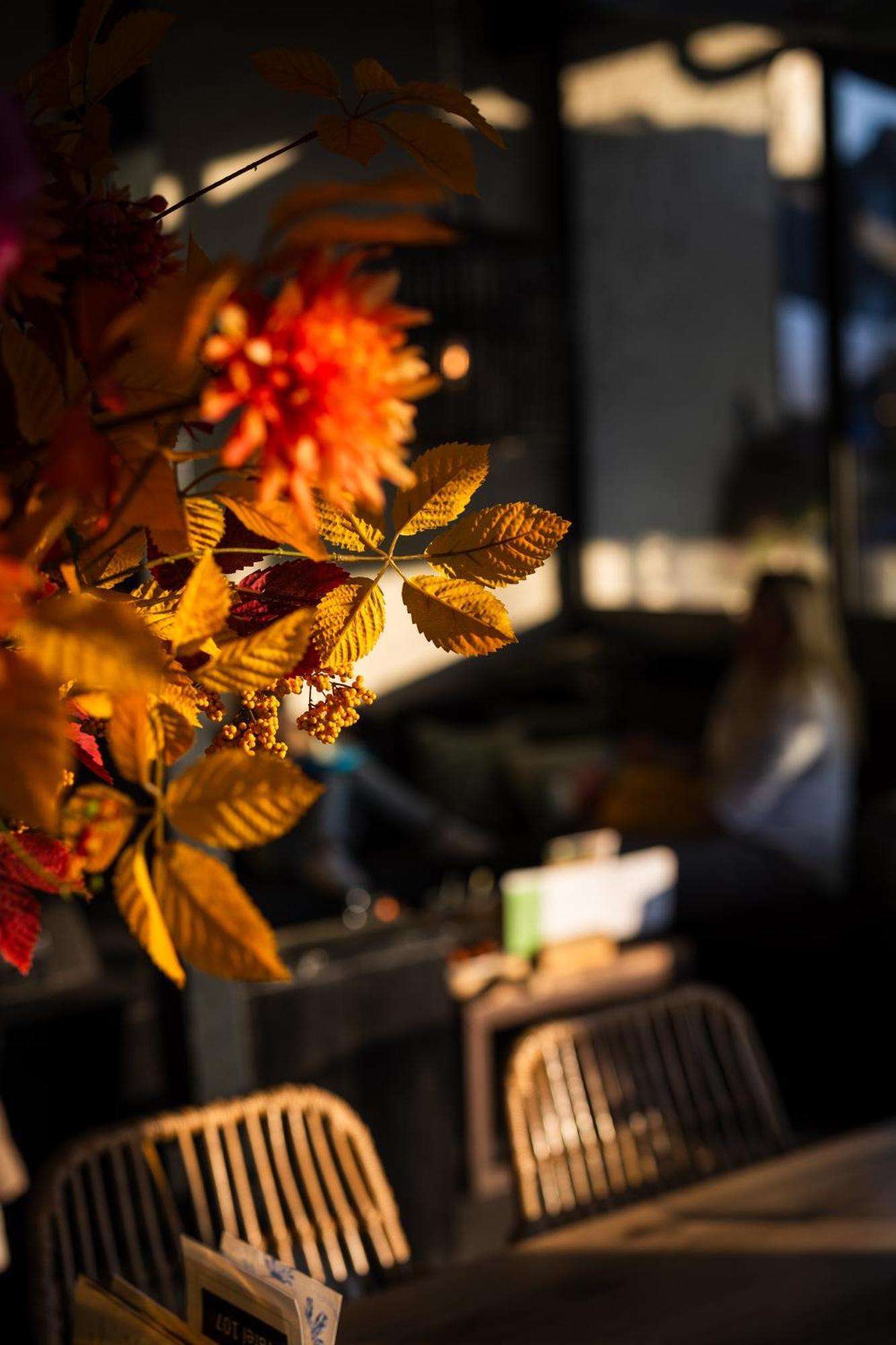 Hotel Restaurant 'De Vossenberg' フィールハウテン エクステリア 写真